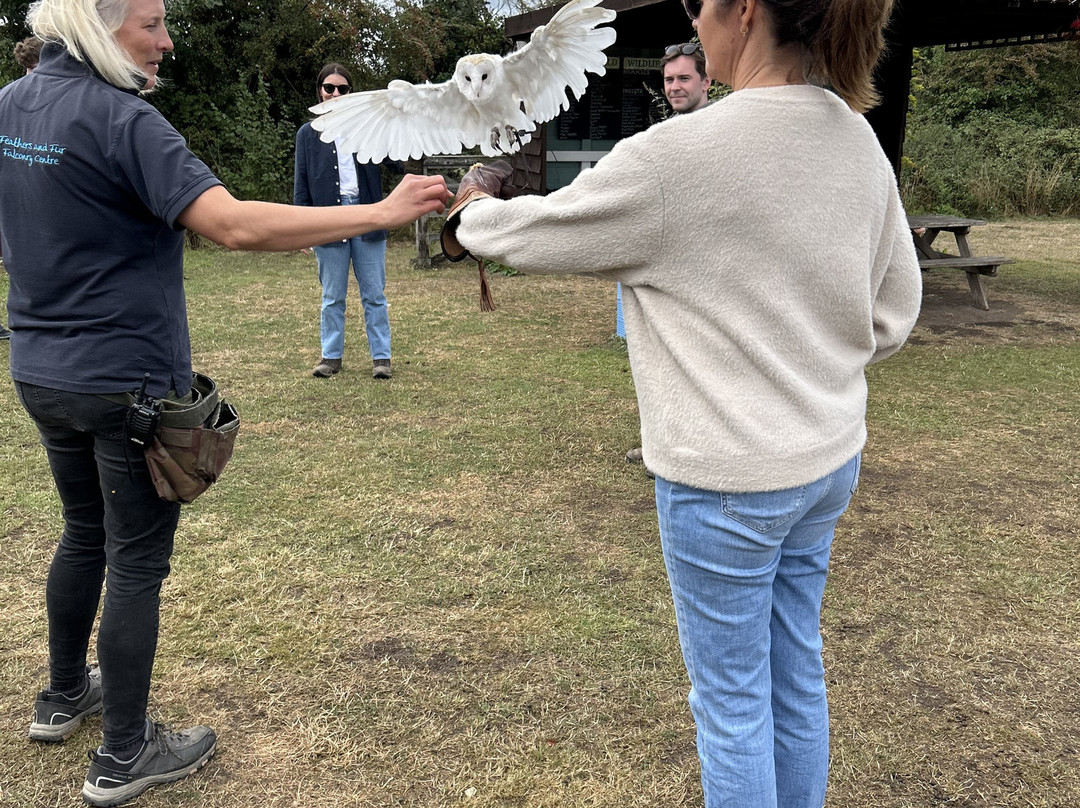 Feathers and Fur Falconry Centre-布拉克内尔必去景点