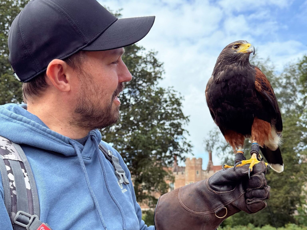 East Sussex Falconry-Herstmonceux必去景点