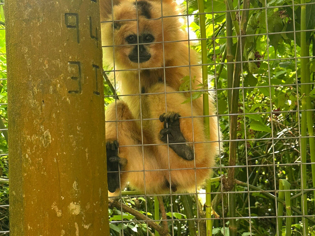 Exmoor Zoo-巴恩斯特珀尔必去景点