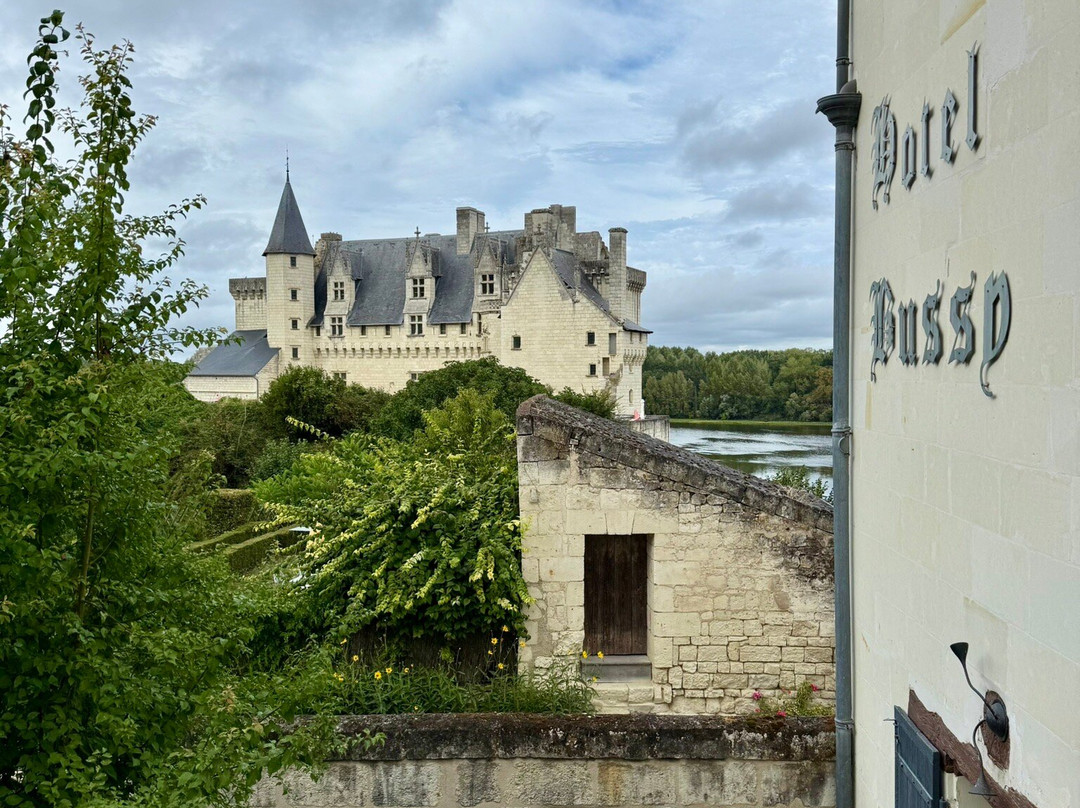 Hôtel Le Bussy主图