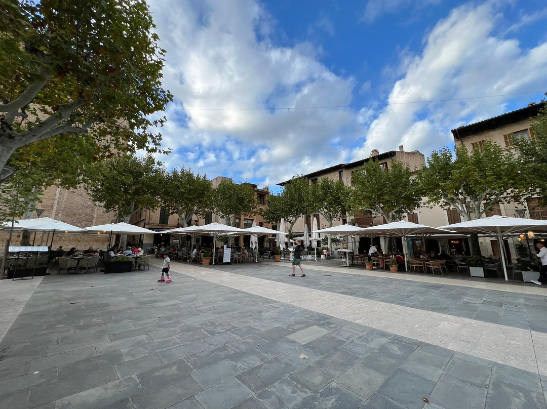 Placa Major-Pollenca必去景点