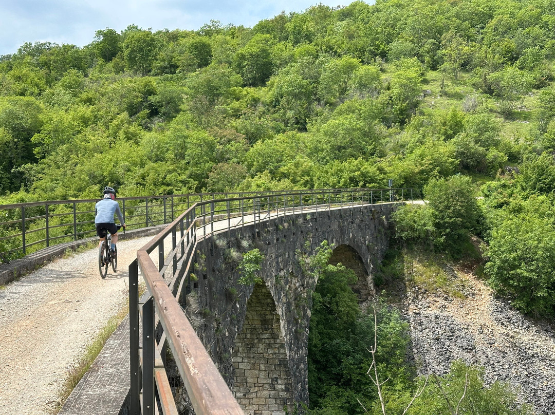 Fiore Tours-波雷奇必去景点
