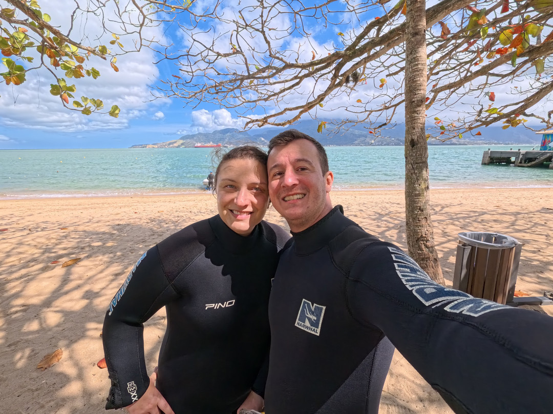 Narwhal-伊利亚贝拉必去景点