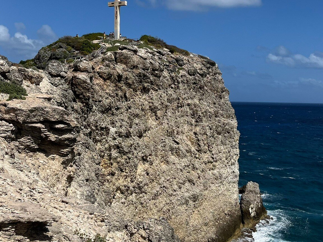 German Butterfly-Pointe-a-Pitre必去景点