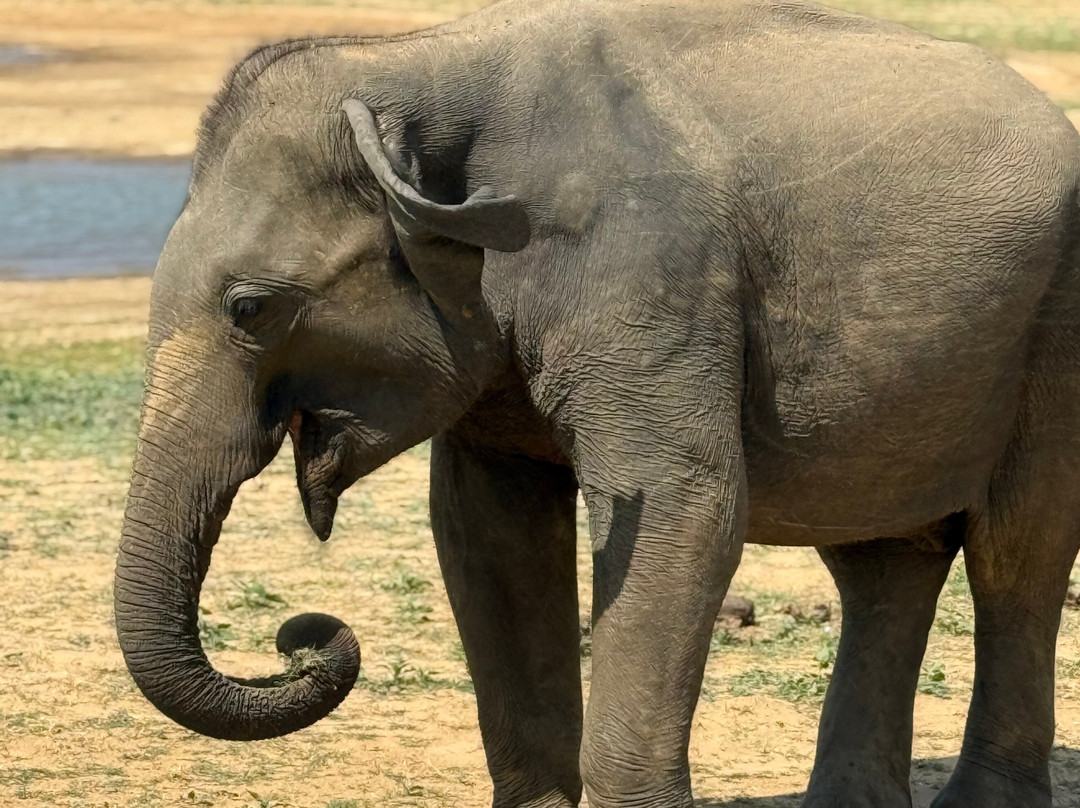 Nature Caves Sri Lanka-科伦坡必去景点