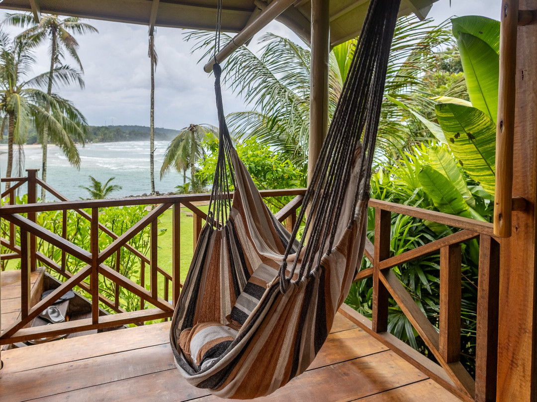 沽岛艾维沽岛度假村主图