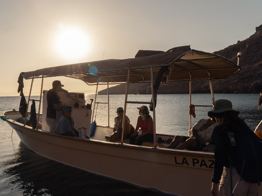 Desértica Baja Sur-拉巴斯必去景点