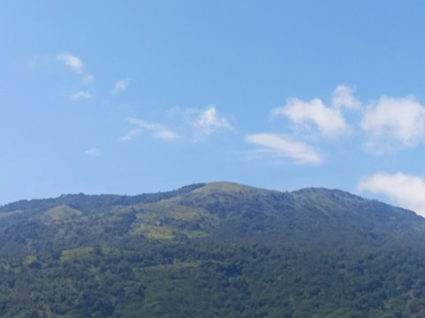 Tuskers Hill by Poppys Anaikatti主图