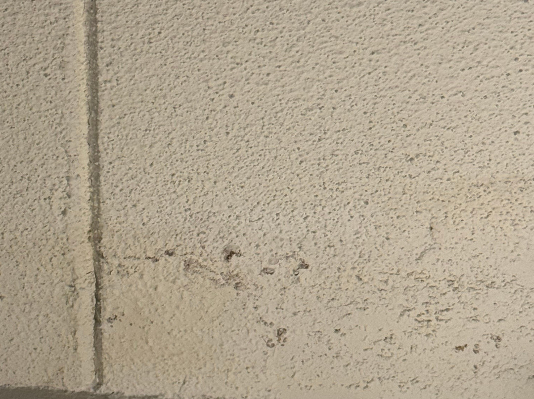 Best Western Bridgeview Hotel主图