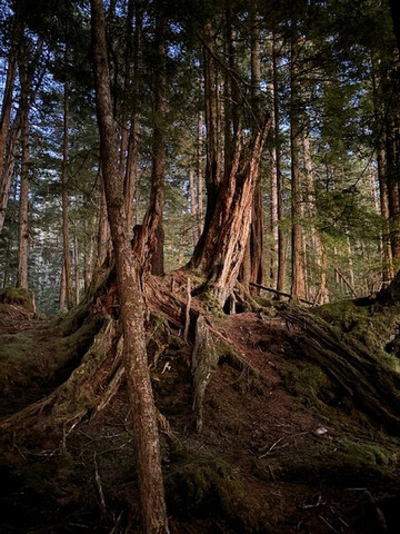 Pacific Catalyst-朱诺必去景点