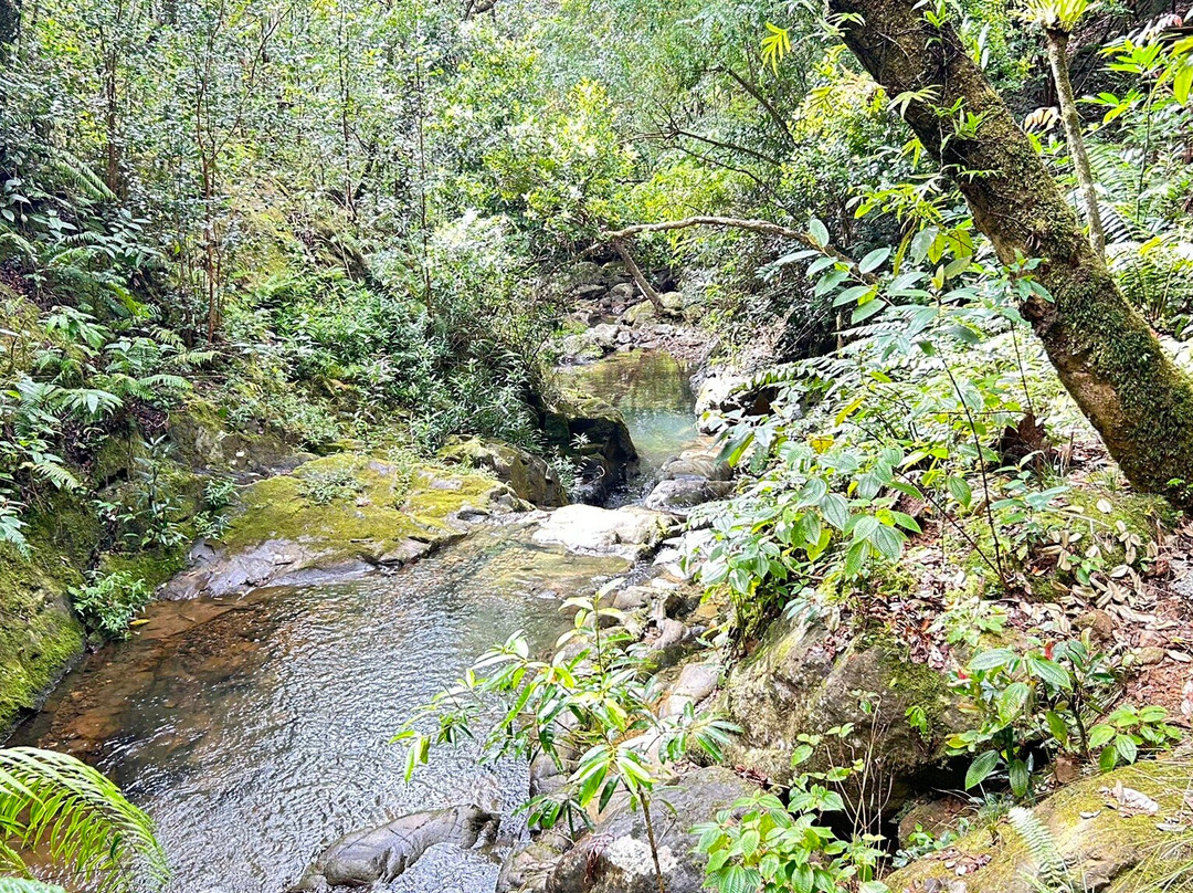 La Vallée de Ferney-马喜埔必去景点