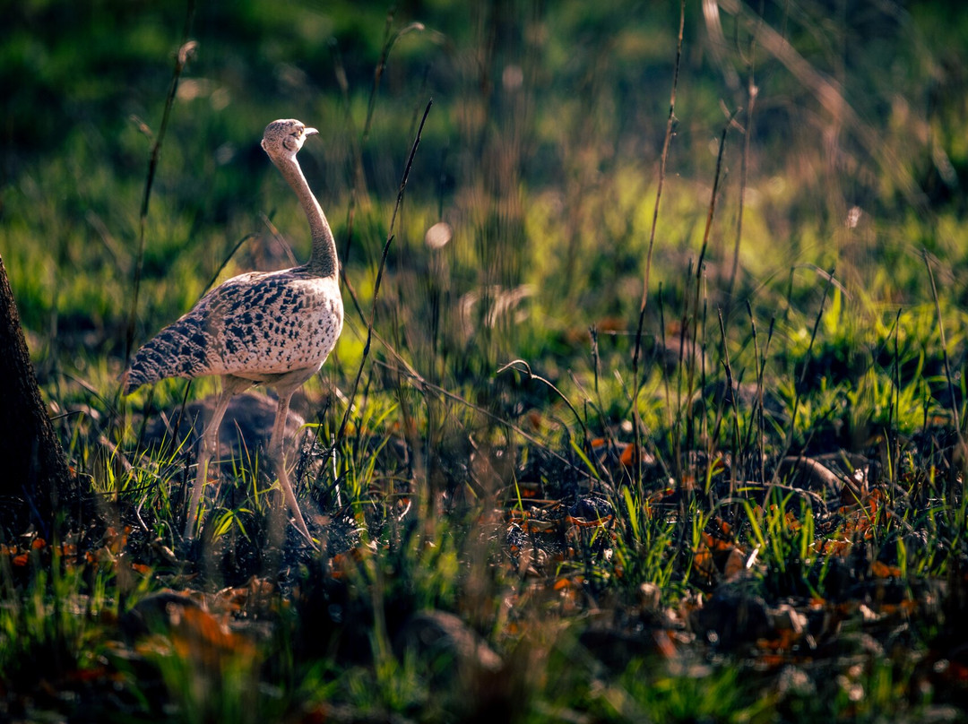 Maze National Park-Southern Nations, Nationalities, and People's Region必去景点