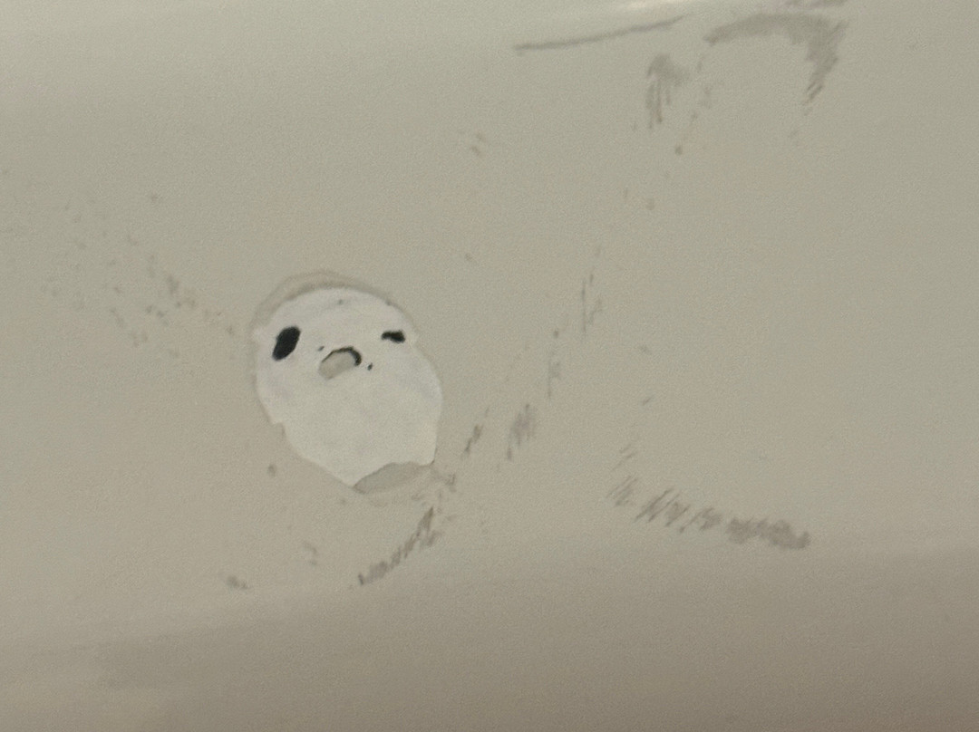 Residence Inn by Marriott La Mirada Buena Park主图