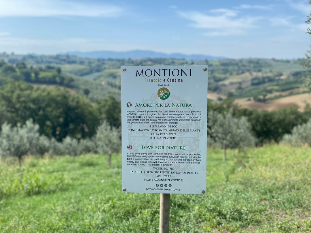 Montioni - Frantoio & Cantina-Montefalco必去景点