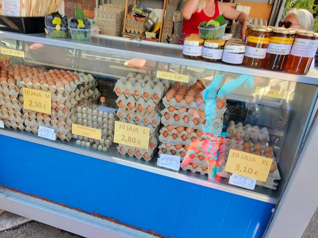 Rijeka Central Market-里耶卡必去景点