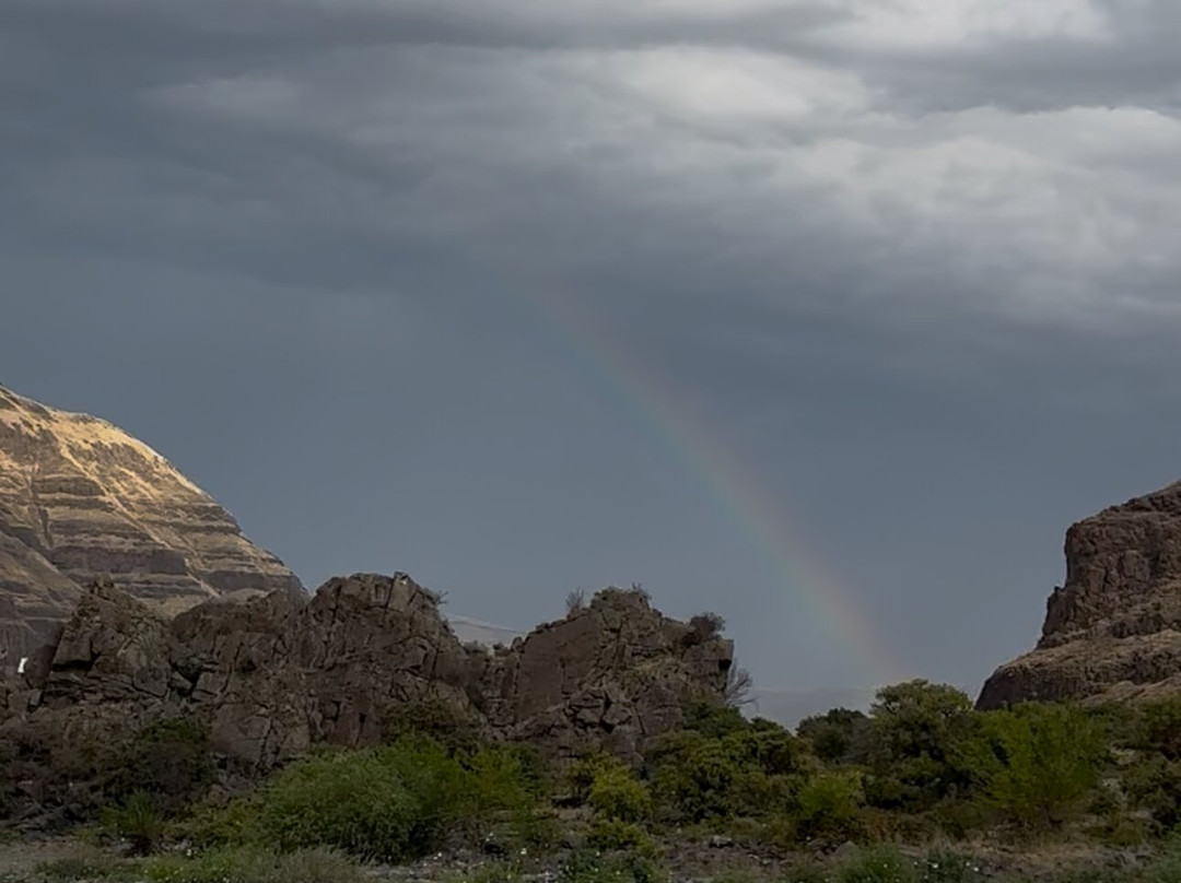 Snake River Adventures-刘易斯顿必去景点