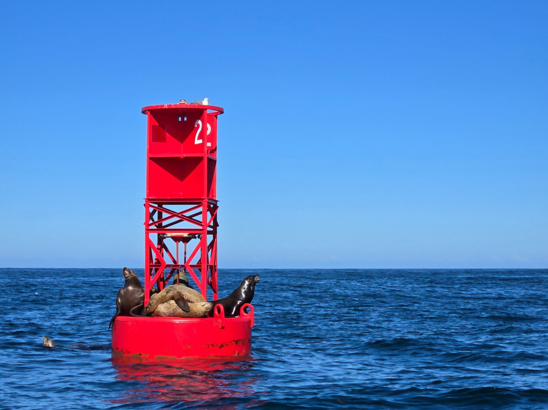 Whale's Tail Charters-Depoe Bay必去景点