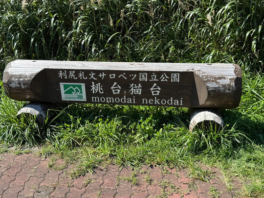 Momodai Nekodai Observatory-礼文町必去景点