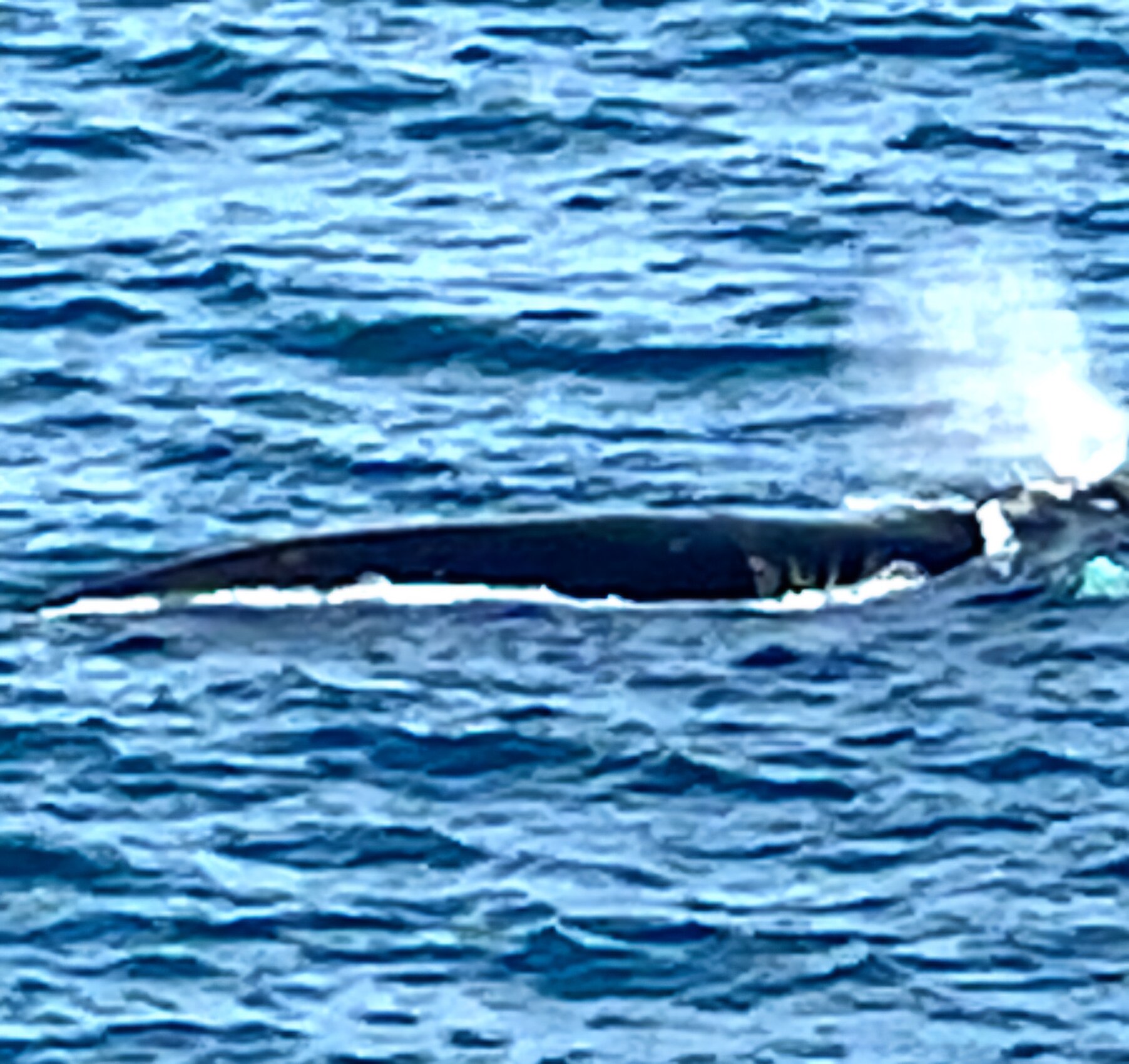 Bremer Bay Resort-官方