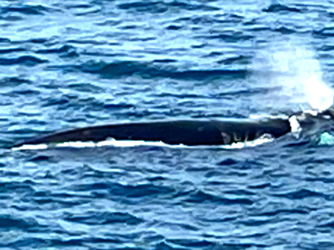 Bremer Bay Resort主图