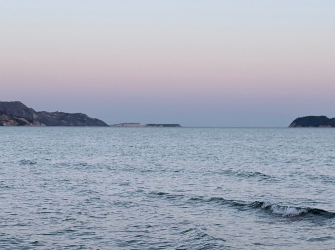 Roseland Hotel主图