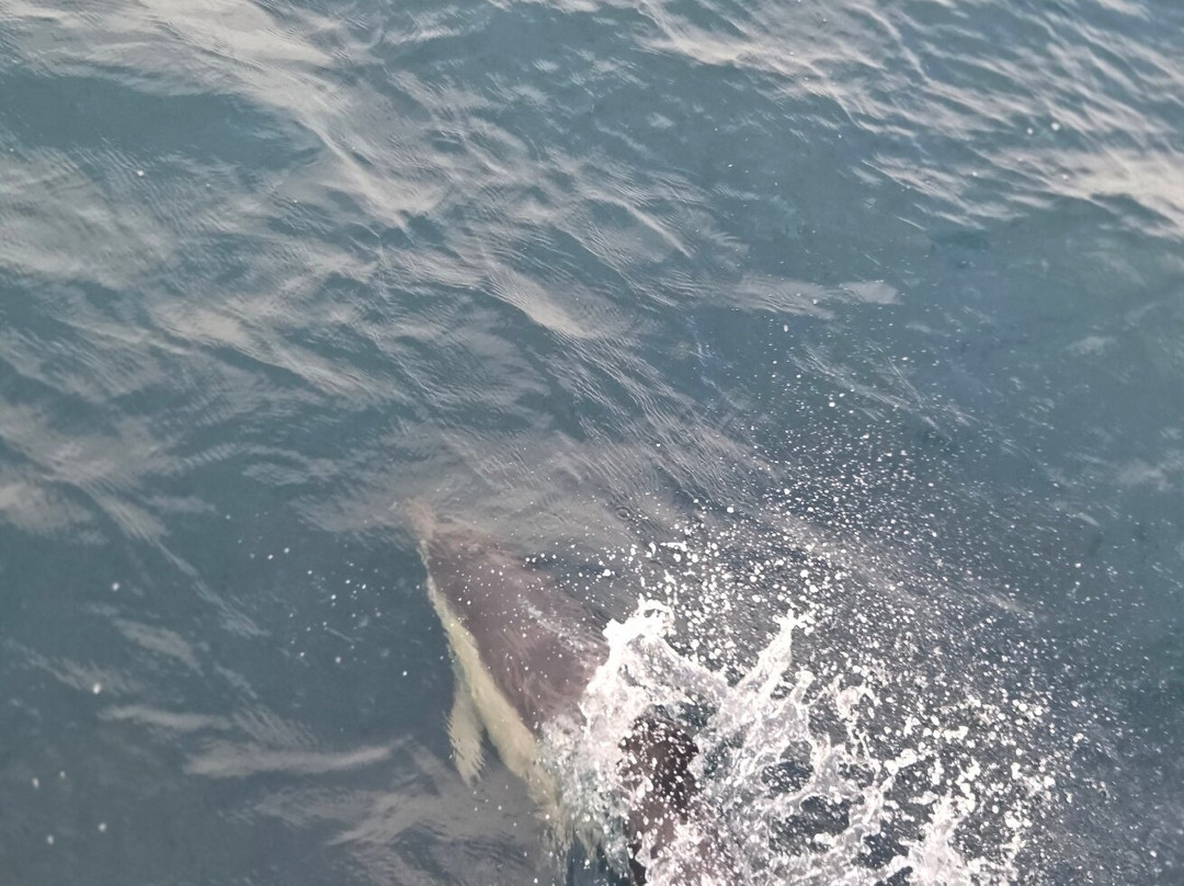 Celtic Deep-Dale必去景点