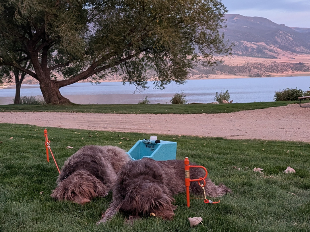Lakeshore Cabins And Campground