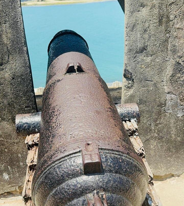 Flying Dove Tours-蒙巴萨必去景点