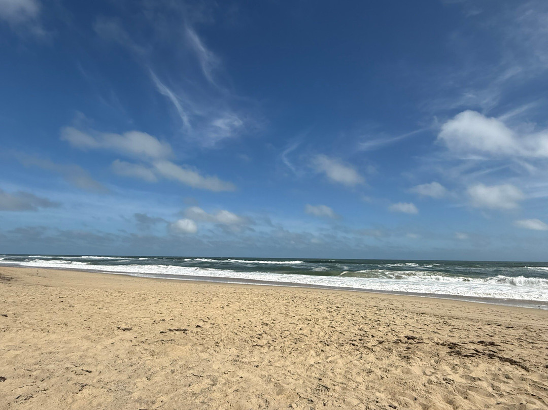 Farmdog Beach Services-纳格斯海德必去景点