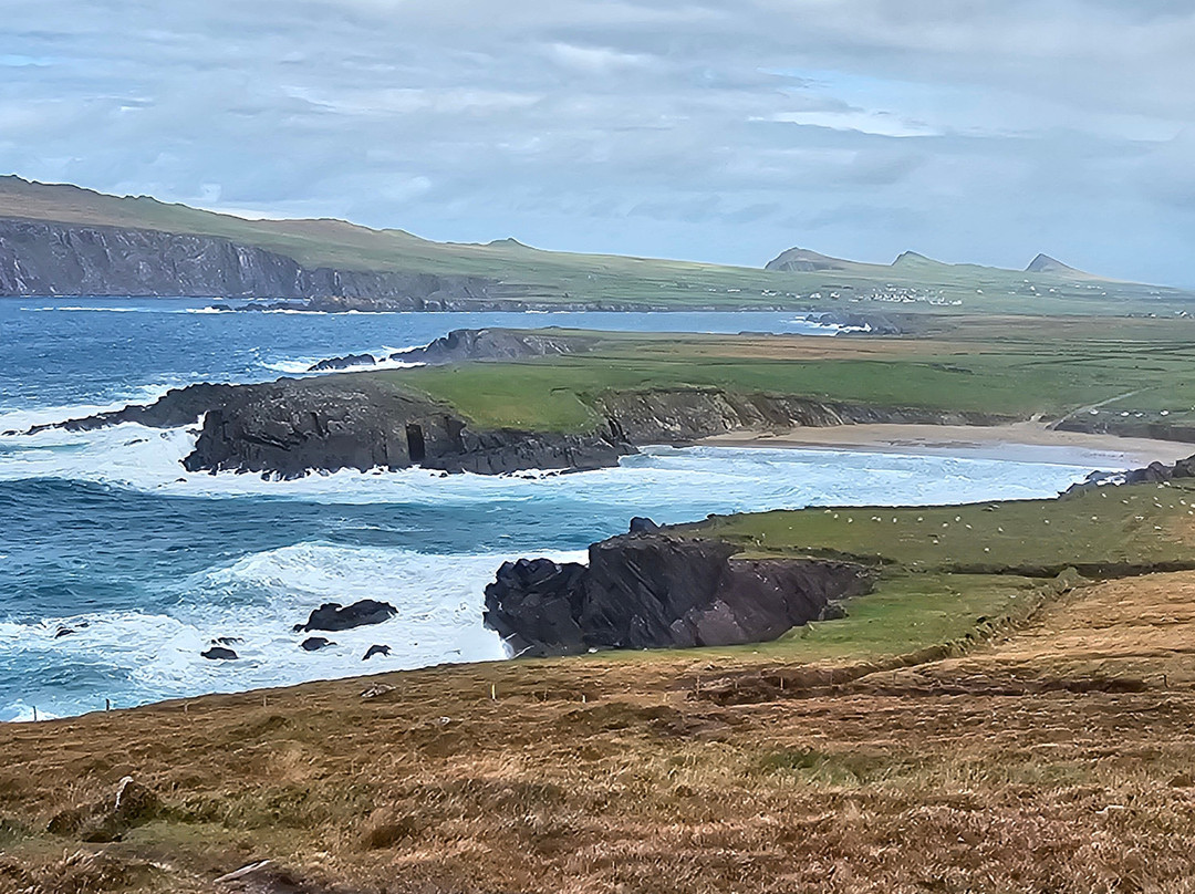 Irish Experience Tours-科克必去景点