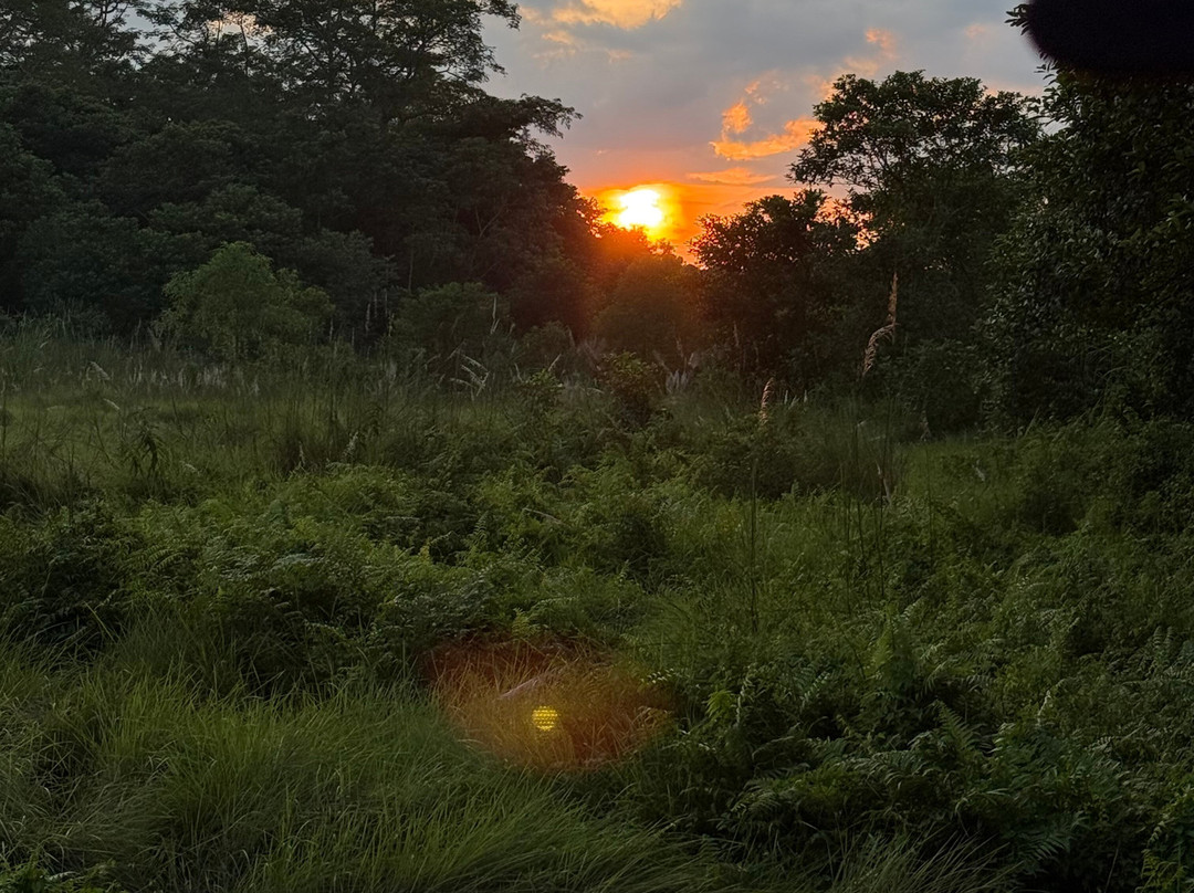 独特野生度假村主图