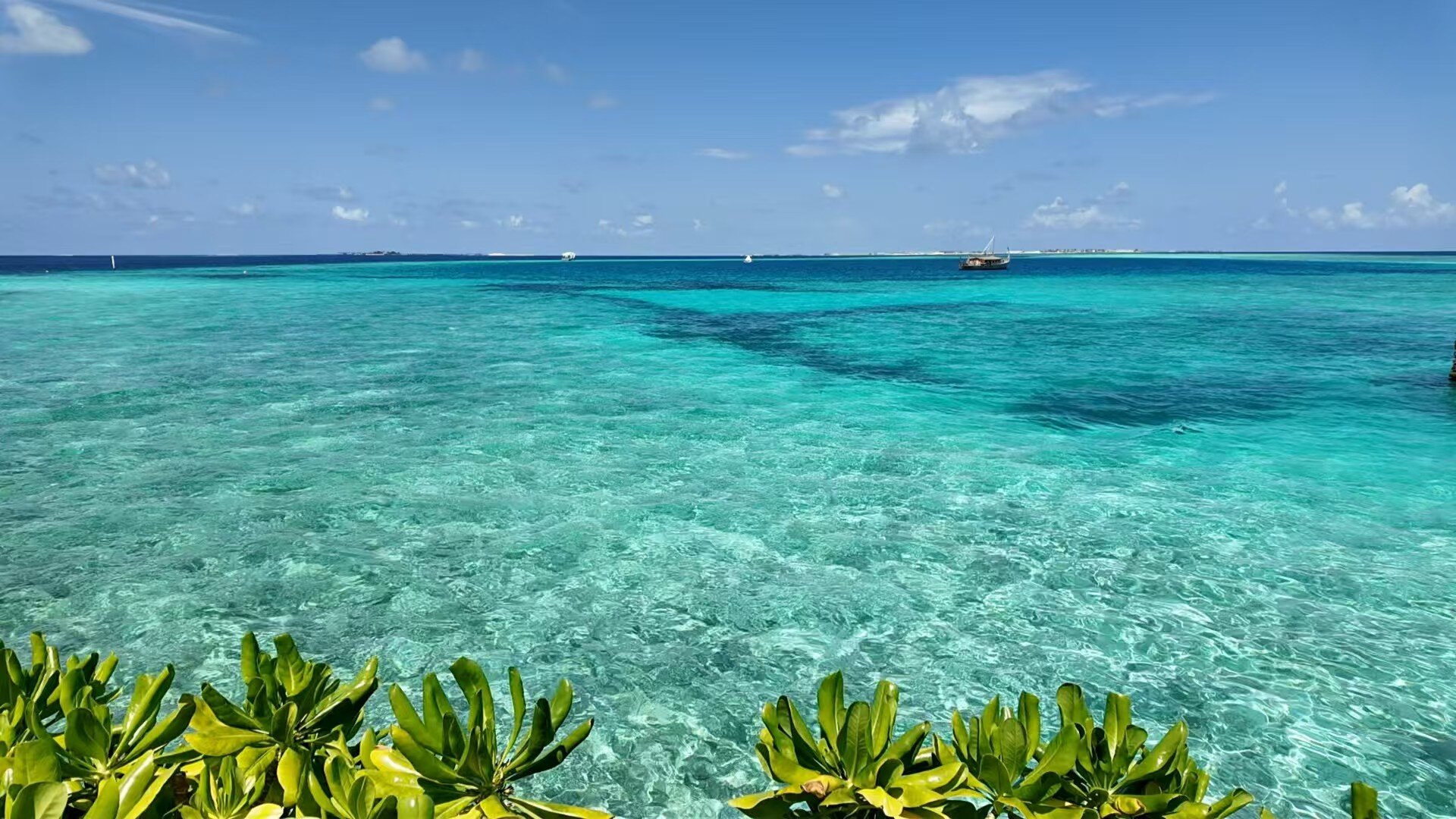 马尔代夫巴洛斯度假村-泳池