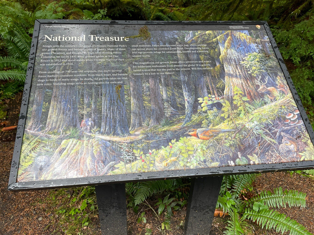 Ancient Groves Trail