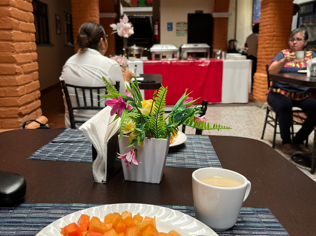 Hotel Del Carmen主图