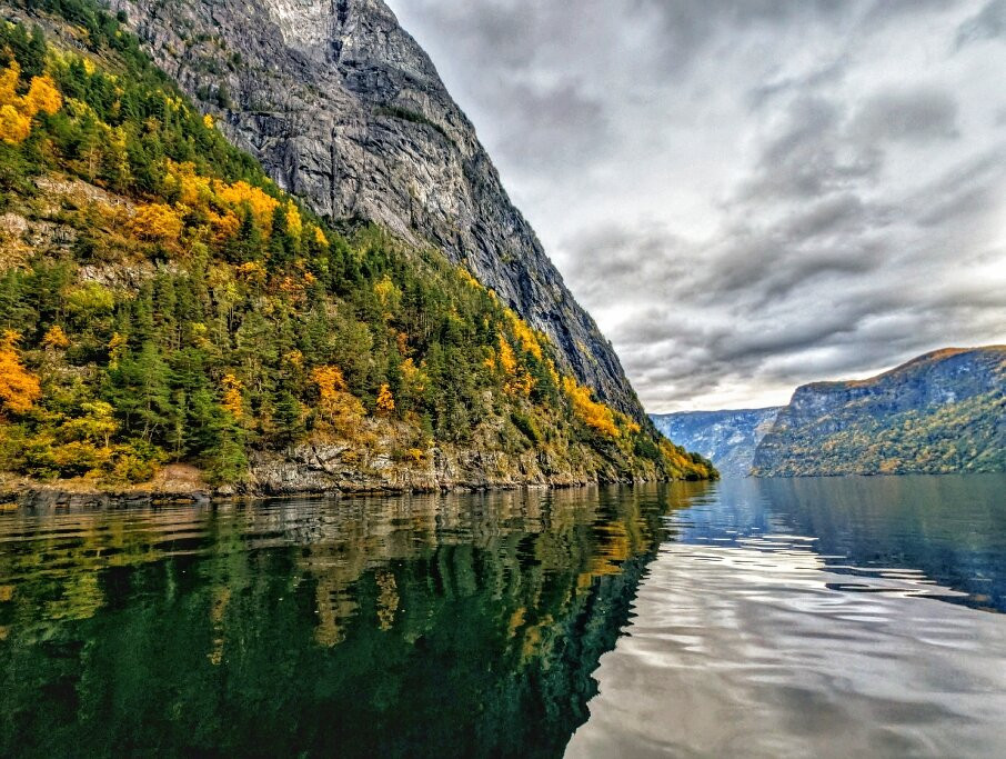 FjordSafari-弗洛姆必去景点