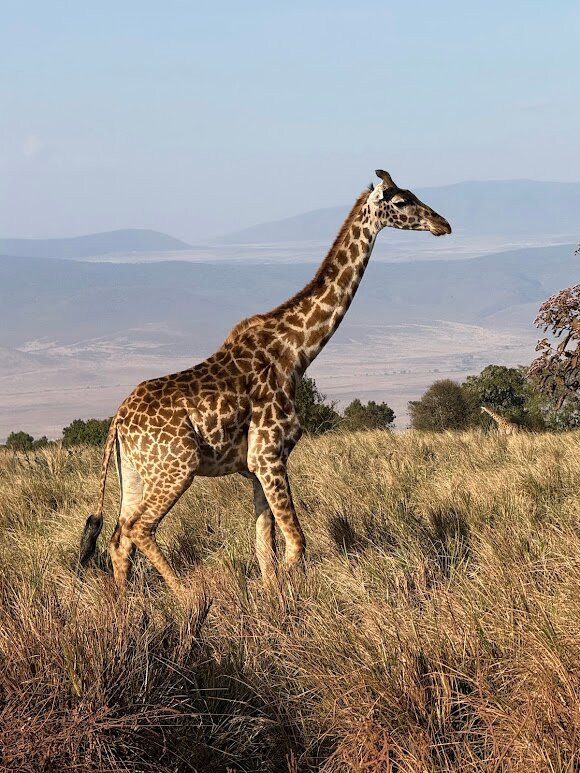 PK Adventure-乞力马扎罗山国家公园必去景点