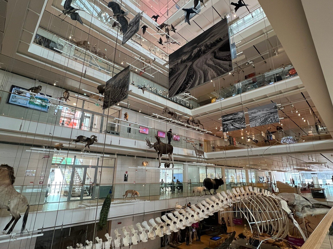 MUSE - Science Museum-特伦托必去景点
