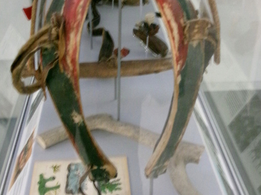 The Polar Museum, Scott Polar Research Institute-剑桥必去景点