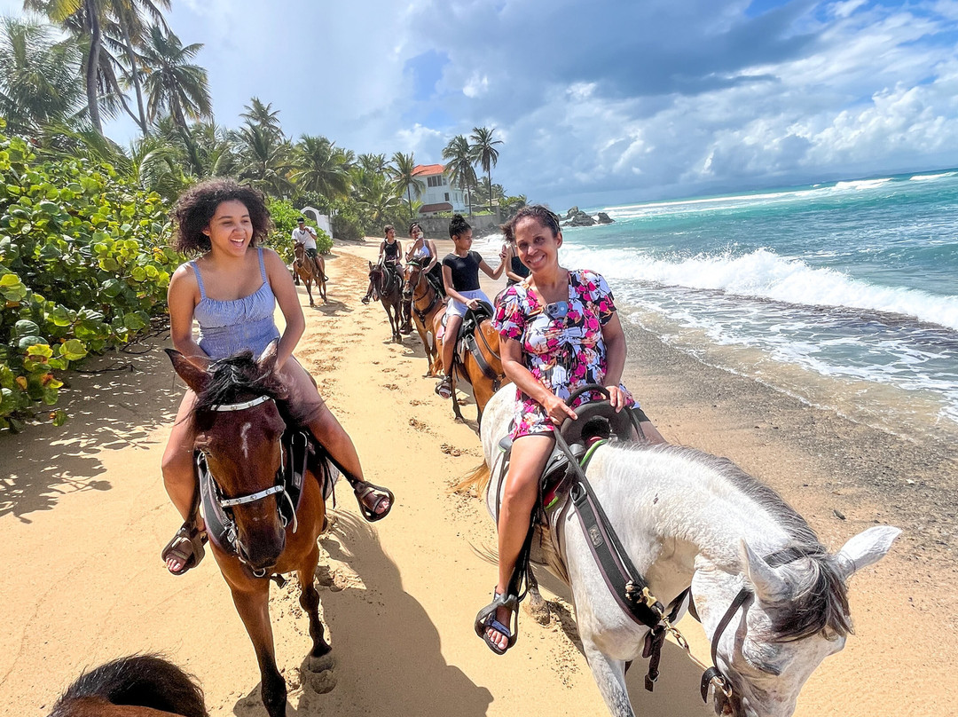 Colon Horseback Riding-维切克岛必去景点
