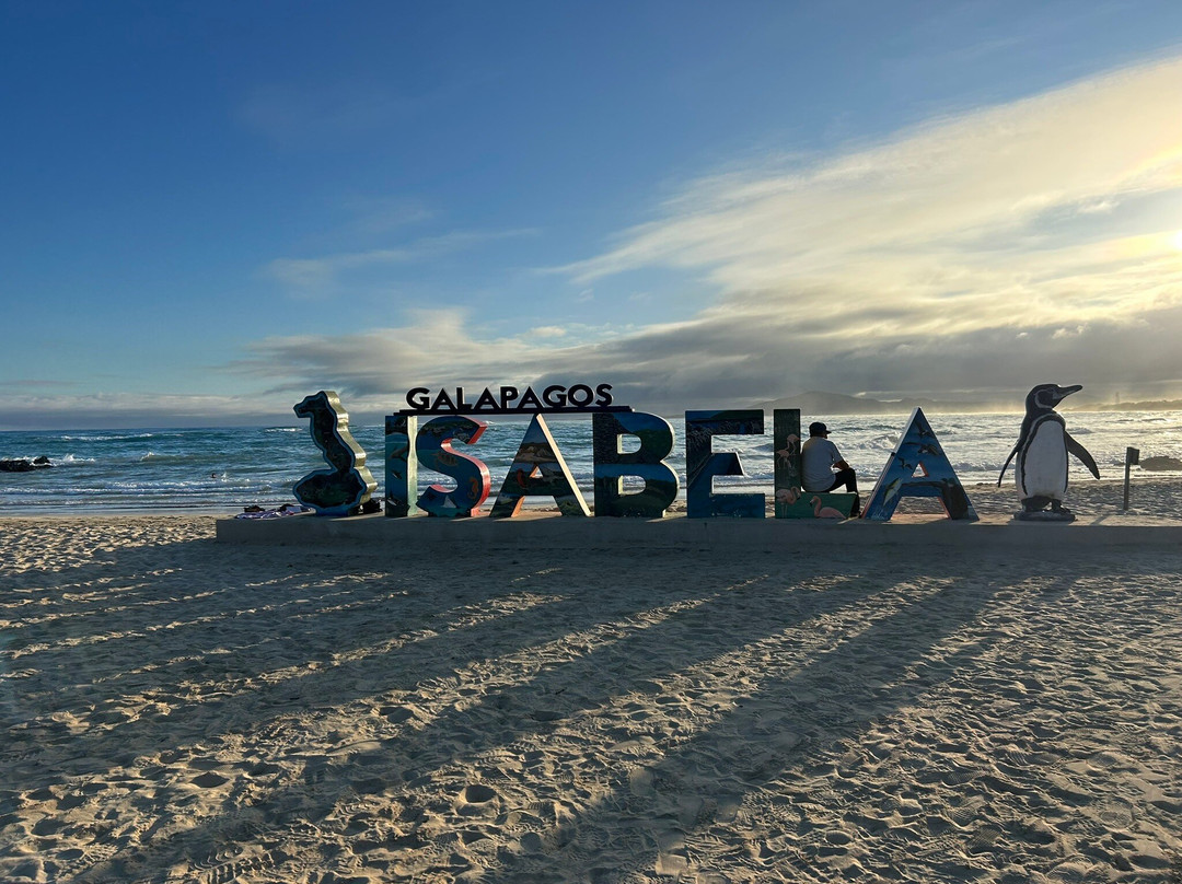 Playa Puerto Villamil-维里亚米尔港必去景点