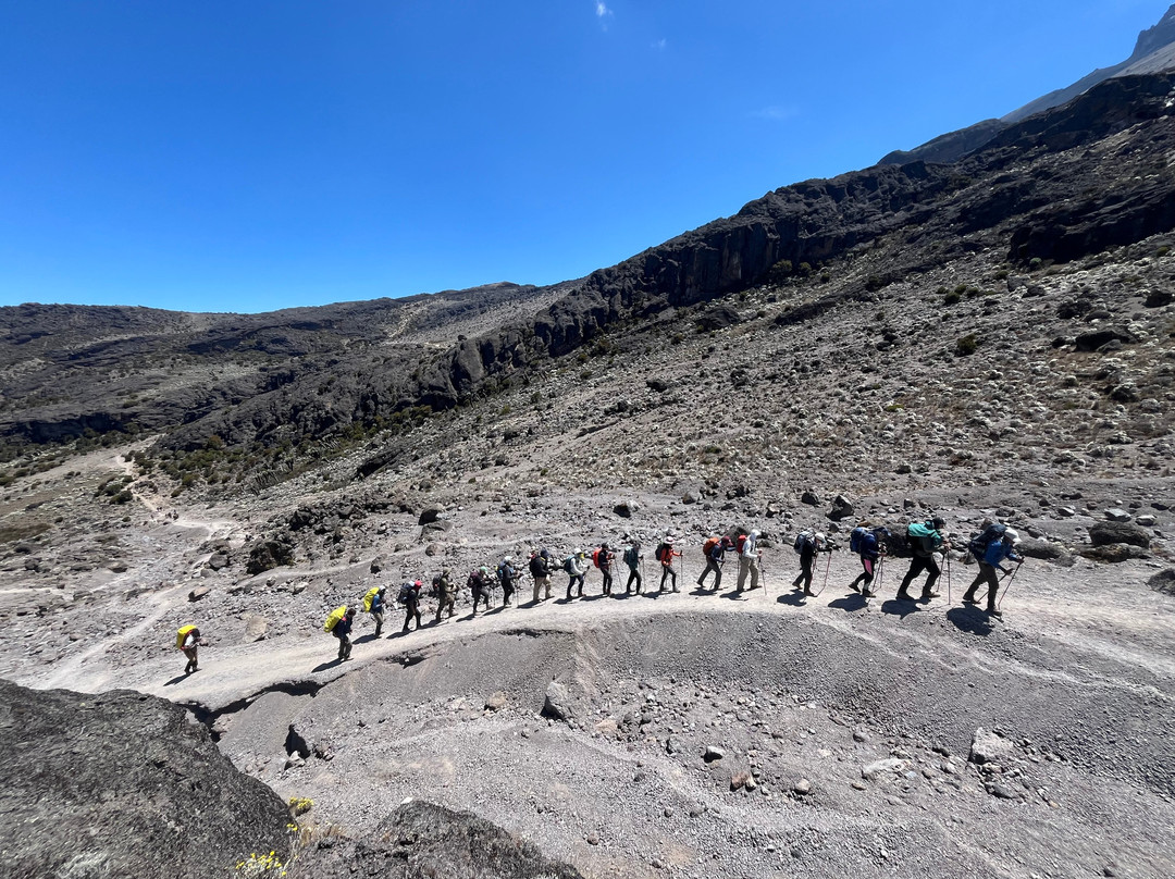 Altezza Travel-莫西必去景点