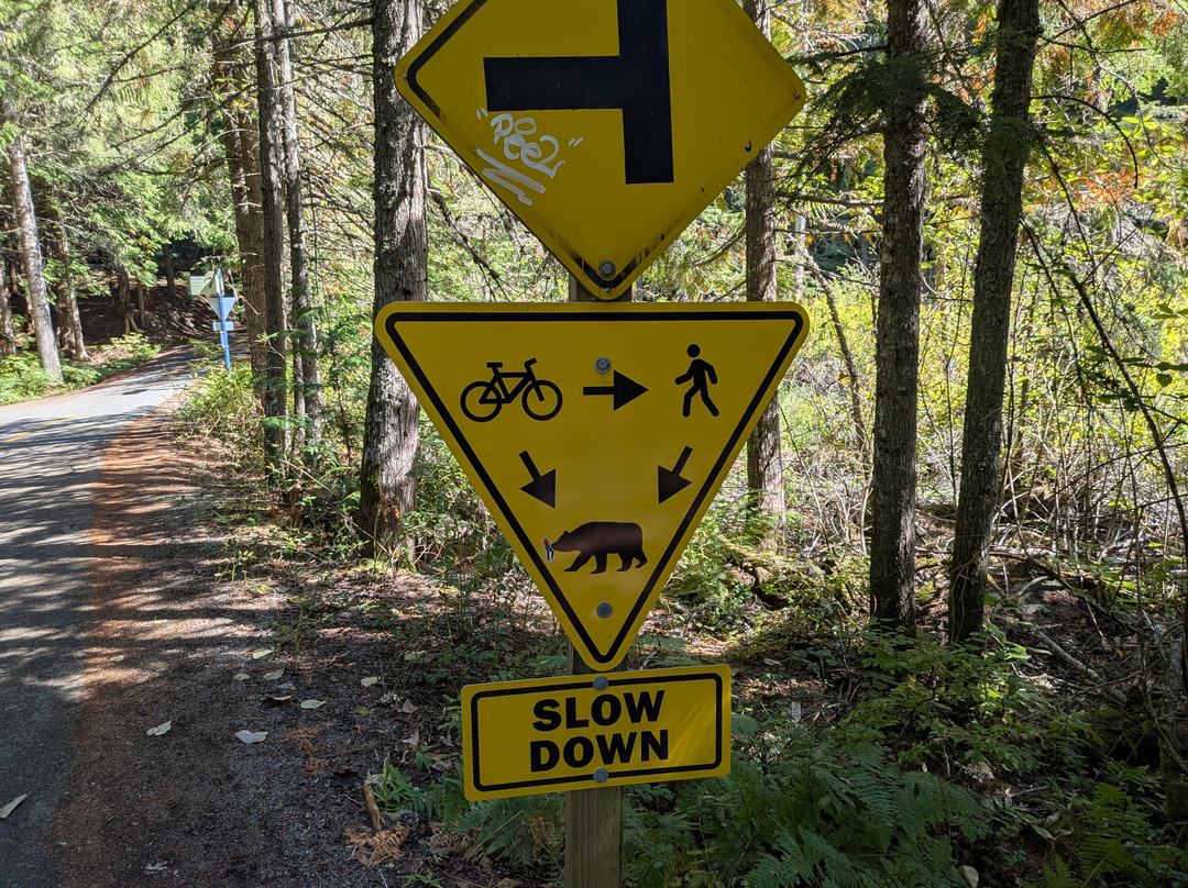 Whistler Valley Trail-惠斯勒必去景点