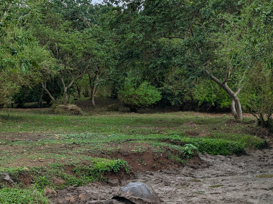 Rancho Primicias-圣克鲁斯必去景点