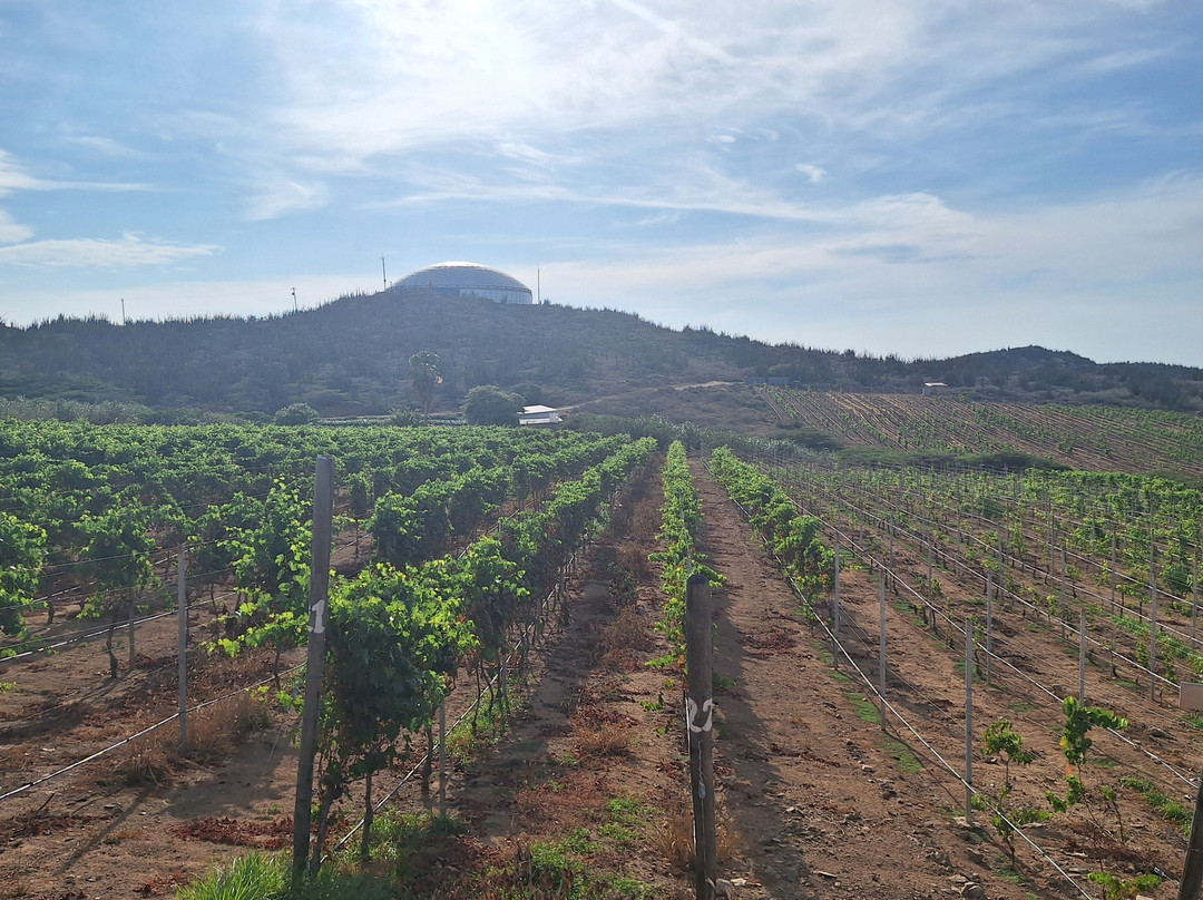 Alto Vista Winery-Noord必去景点