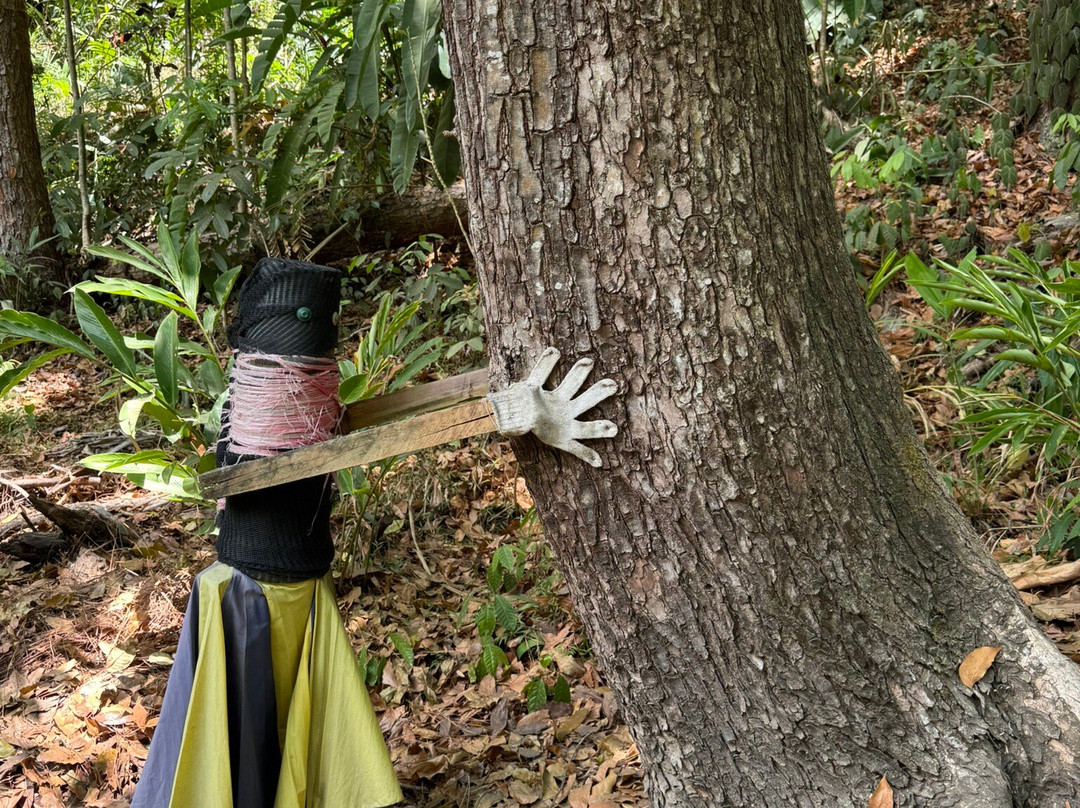 Rosie Holidays Fiji-纳迪市必去景点