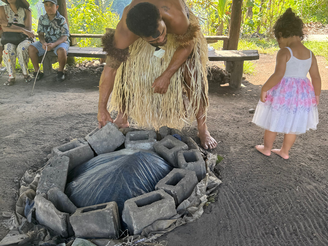 The Jewel Of Fiji - Day Tours-维提岛必去景点