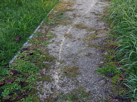 Bianconese酒店住宿-Agriturismo Villa Laura