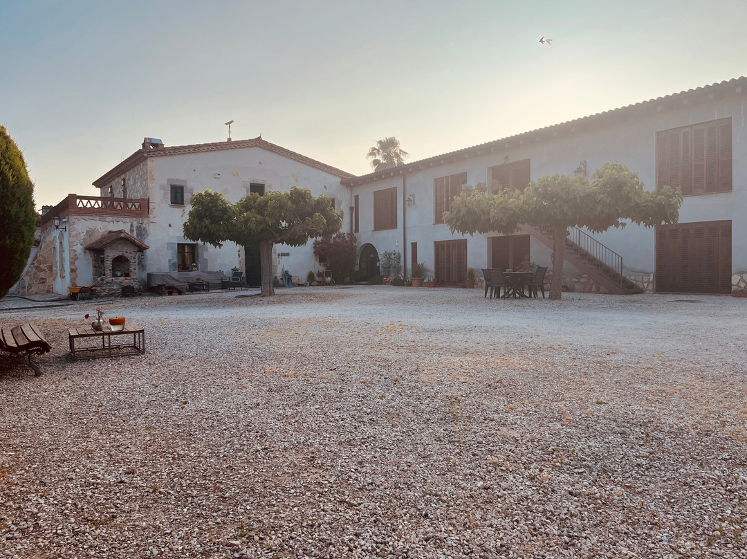 B&B El Ranxo Caldes de Malavella主图