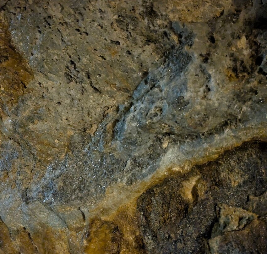 Capital Prize Gold Mine Tour-Georgetown必去景点