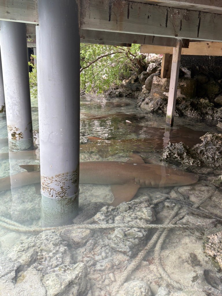 Pension Vekeveke Village-官方